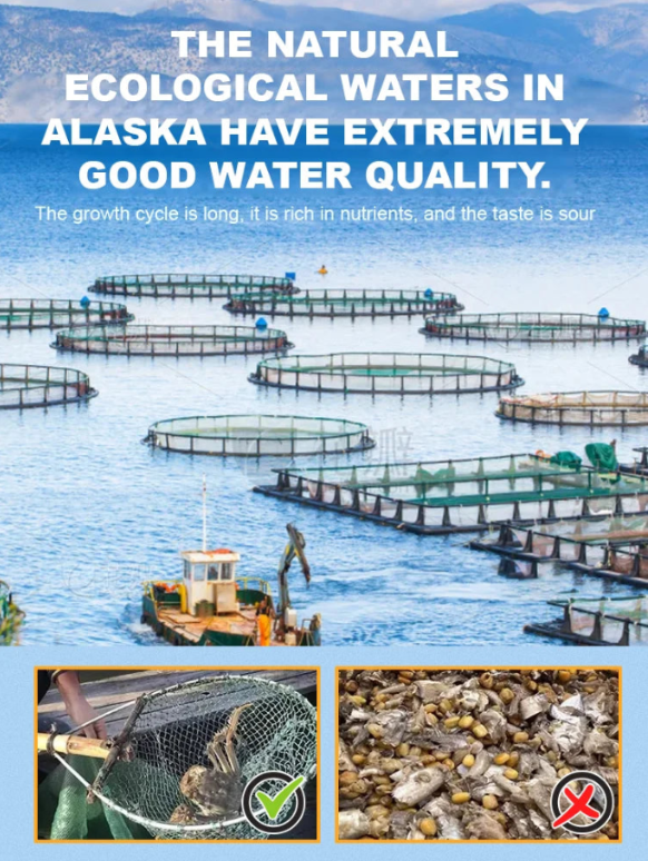 Alaskan Snow Crab Ready-to-EatCrispy Crab-Amy